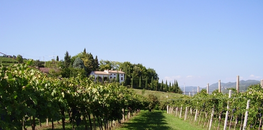 Localit Cerolo di Illasi
